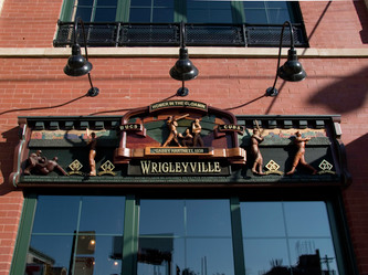 Image of Harry Carays Sign Chicago, Bar Signs Chicago, Signs Wisconsin